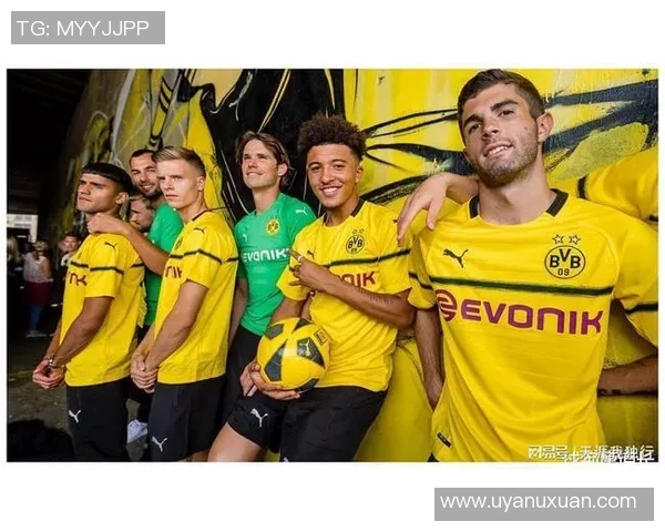 英超羽毛球深度解析北京羽毛球队的战术控制与竞技策略