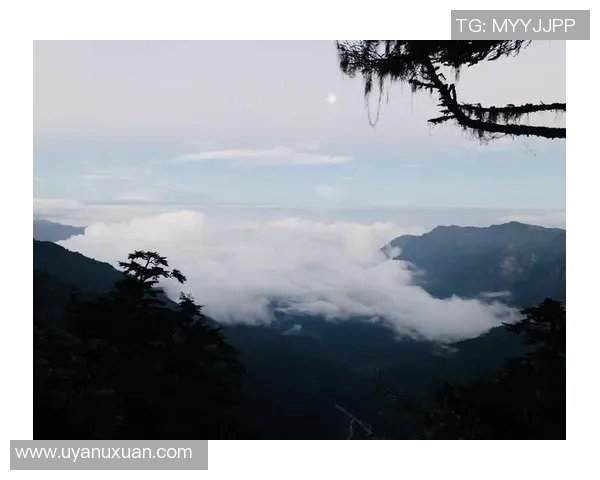 吴伟独家分享攀岩技巧与心得体会助你征服高峰实时数据